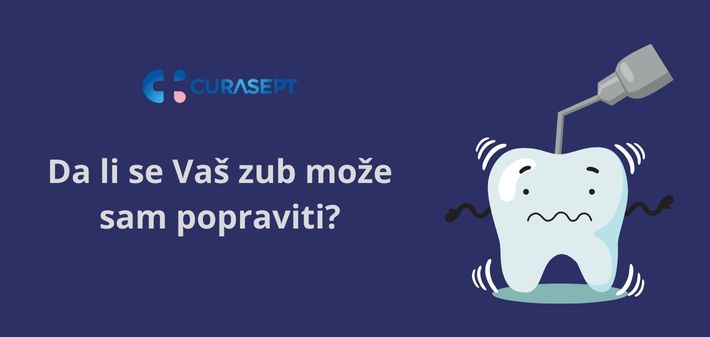Da li se vaš zub može sam popraviti?